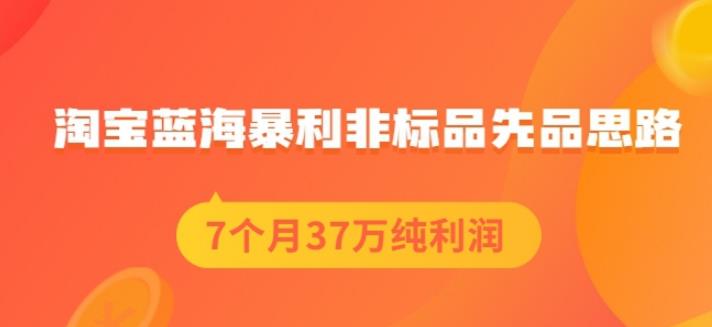 盗坤淘宝蓝海暴利非标品先品思路，7个月37万纯利润，压箱干货分享！【付费文章】-鑫诺空间个人笔记本