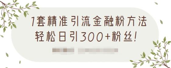 1套精准引流金融粉方法，轻松日引300 粉丝【视频课程】-鑫诺空间个人笔记本