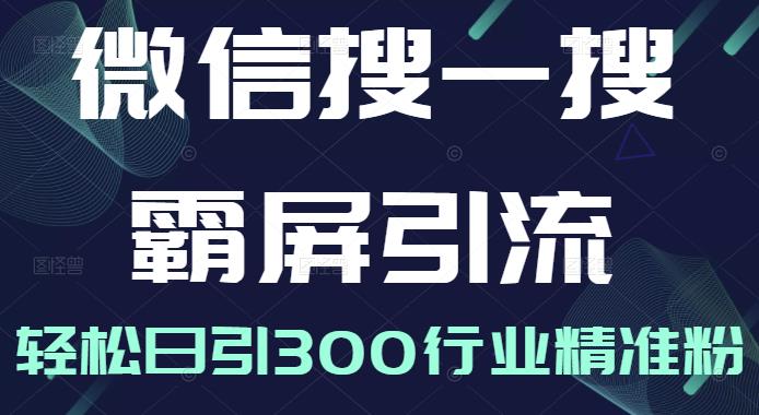 微信搜一搜霸屏引流课，打造被动精准引流系统，轻松日引300行业精准粉【无水印】-鑫诺空间个人笔记本