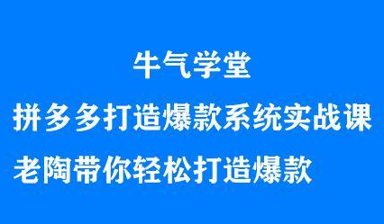 牛气学堂拼多多打造爆款系统实战课，老陶带你轻松打造爆款-鑫诺空间个人笔记本