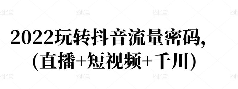 2022玩转抖音流量密码，(直播 短视频 千川)-鑫诺空间个人笔记本