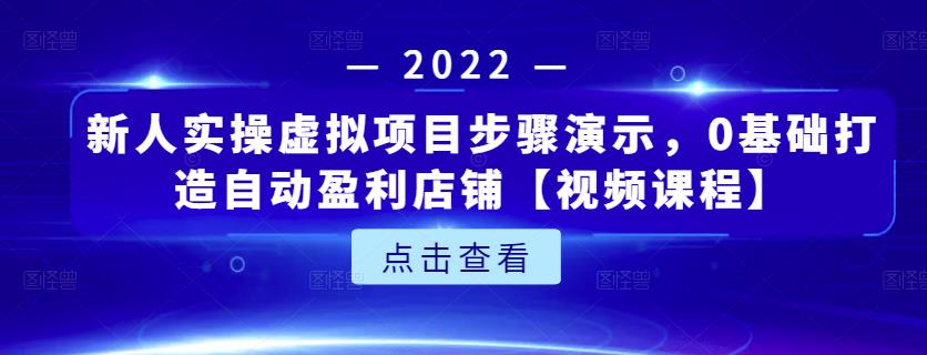 新人实操虚拟项目步骤演示，0基础打造自动盈利店铺【视频课程】-鑫诺空间个人笔记本