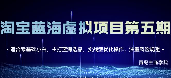 淘宝虚拟无货源3.0 4.0 5.0，适合零基础小白，主打蓝海选品，实战型优化操作-鑫诺空间个人笔记本