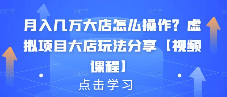 月入几万大店怎么操作？虚拟项目大店玩法分享【视频课程】-鑫诺空间个人笔记本