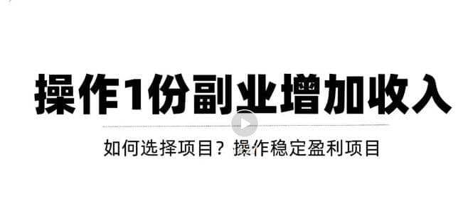 新手如何通过操作副业增加收入，从项目选择到玩法分享！【视频教程】-鑫诺空间个人笔记本