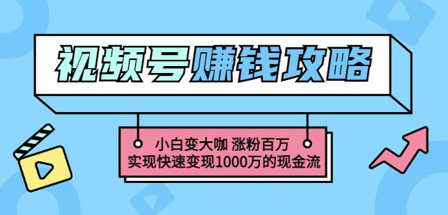 玩转微信视频号赚钱：小白变大咖涨粉百万实现快速变现1000万的现金流-鑫诺空间个人笔记本