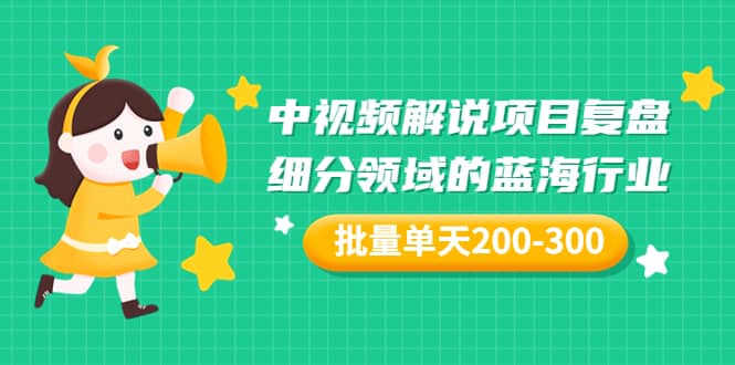 某付费文章：中视频解说项目复盘：细分领域的蓝海行业 批量单天200-300收益-鑫诺空间个人笔记本