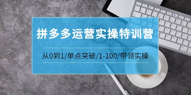 拼多多运营实操特训营：从0到1/单点突破/1-100/带领实操 价值2980元-鑫诺空间个人笔记本