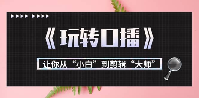 月营业额700万 大佬教您《玩转口播》让你从“小白”到剪辑“大师”-鑫诺空间个人笔记本