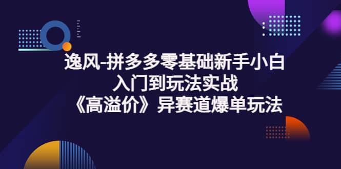 拼多多零基础新手小白入门到玩法实战《高溢价》异赛道爆单玩法实操课-鑫诺空间个人笔记本