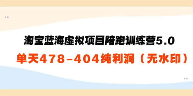 淘宝蓝海虚拟项目陪跑训练营5.0：单天478纯利润（无水印）-鑫诺空间个人笔记本