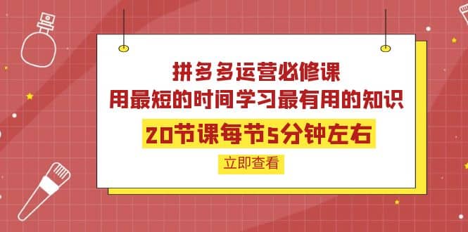 拼多多运营必修课：20节课每节5分钟左右，用最短的时间学习最有用的知识-鑫诺空间个人笔记本