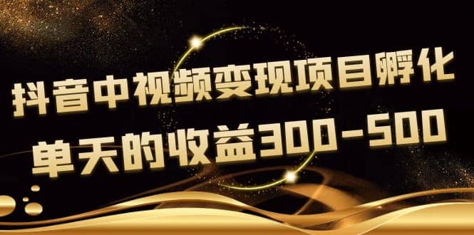 黄岛主《抖音中视频变现项目孵化》单天的收益300-500 操作简单粗暴-鑫诺空间个人笔记本