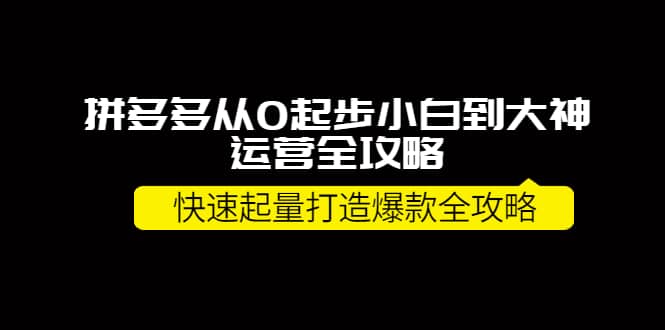 拼多多从0起步小白到大神运营全攻略-鑫诺空间个人笔记本