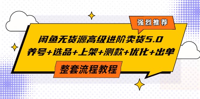 闲鱼无货源高级进阶卖货5.0，养号 选品 上架 测款 优化 出单整套流程教程-鑫诺空间个人笔记本