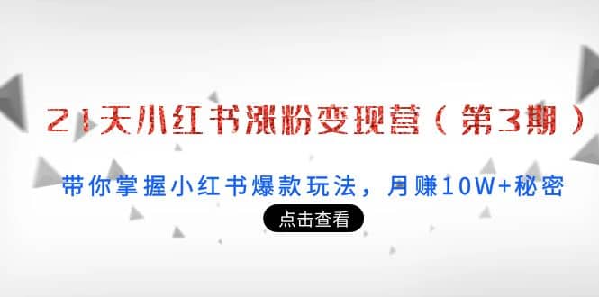 21天小红书涨粉变现营（第3期）：带你掌握小红书爆款玩法，月赚10W 秘密-鑫诺空间个人笔记本