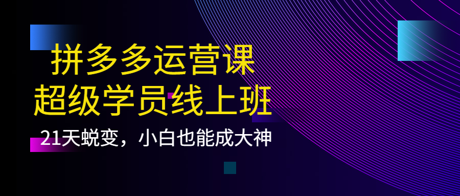 拼多多运营课：超级学员线上班，21天蜕变，小白也能成大神-鑫诺空间个人笔记本