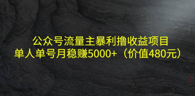 公众号流量主暴利撸收益项目，单人单号月稳赚5000 （价值480元）-鑫诺空间个人笔记本