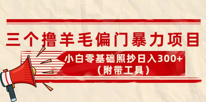 外面卖998的三个撸羊毛项目，小白零基础照抄（附带工具）-鑫诺空间个人笔记本