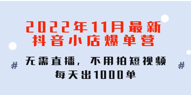 2022年11月最新抖音小店爆单训练营：无需直播，不用拍短视频，每天出1000单-鑫诺空间个人笔记本