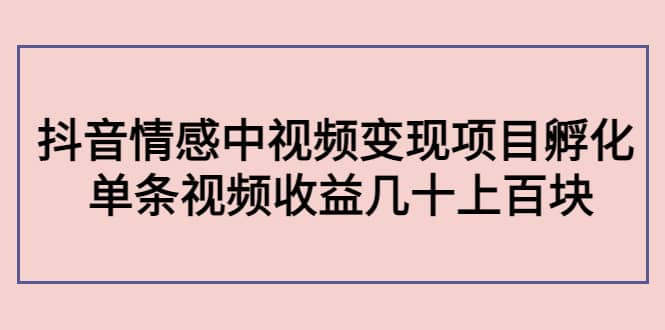 抖音情感中视频变现项目孵化-鑫诺空间个人笔记本