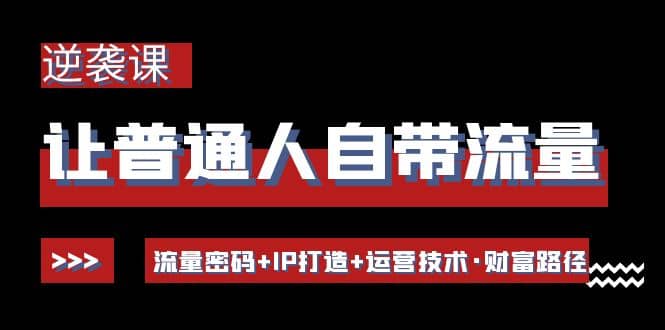 让普通人自带流量的逆袭课：流量密码 IP打造 运营技术·财富路径-鑫诺空间个人笔记本