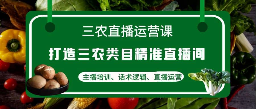 三农直播运营课：打造三农类目精准直播间，主播培训、话术逻辑、直播运营-鑫诺空间个人笔记本