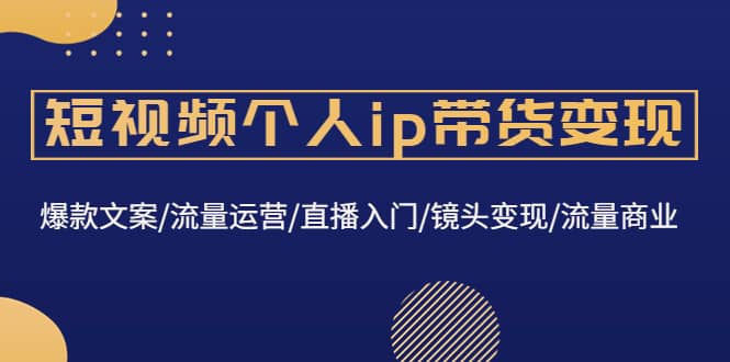 短视频个人ip带货变现：爆款文案/流量运营/直播入门/镜头变现/流量商业-鑫诺空间个人笔记本