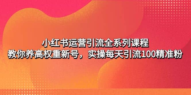 小红书运营引流全系列课程：教你养高权重新号-鑫诺空间个人笔记本