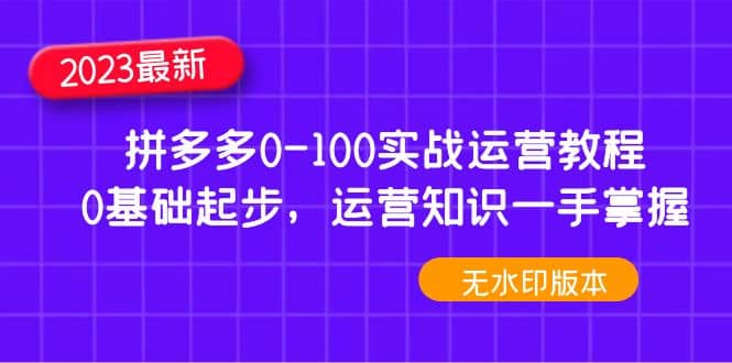 2023拼多多0-100实战运营教程，0基础起步，运营知识一手掌握（无水印）-鑫诺空间个人笔记本