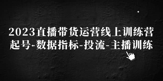 2023直播带货运营线上训练营，起号-数据指标-投流-主播训练-鑫诺空间个人笔记本