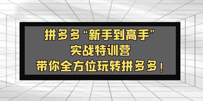 拼多多“新手到高手”实战特训营：带你全方位玩转拼多多-鑫诺空间个人笔记本