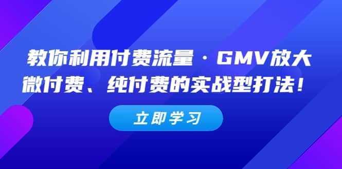 教你利用付费流量·GMV放大，微付费、纯付费的实战型打法-鑫诺空间个人笔记本