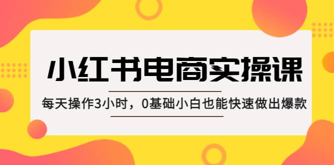 小红书·电商实操课：每天操作3小时，0基础小白也能快速做出爆款-鑫诺空间个人笔记本