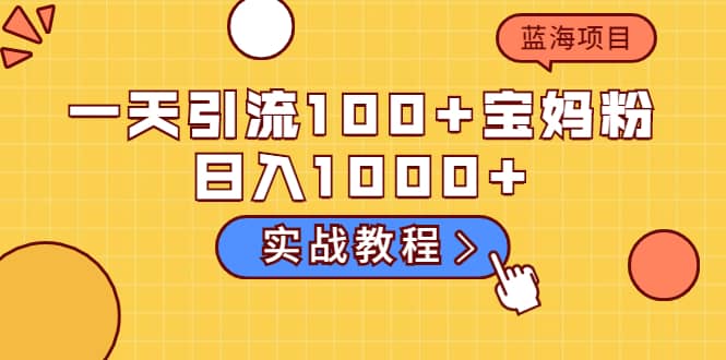 一天引流100 宝妈粉，日入1000 的蓝海项目（实战教程）-鑫诺空间个人笔记本