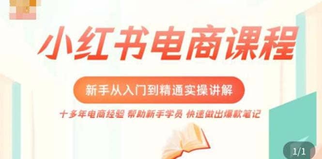 小红书电商新手入门到精通实操课，从入门到精通做爆款笔记，开店运营-鑫诺空间个人笔记本