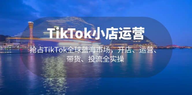 TikTok小店运营 抢占TikTok全球蓝海市场，开店、运营、带货、投流全实操-鑫诺空间个人笔记本