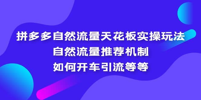 拼多多自然流量天花板实操玩法：自然流量推荐机制，如何开车引流等等-鑫诺空间个人笔记本