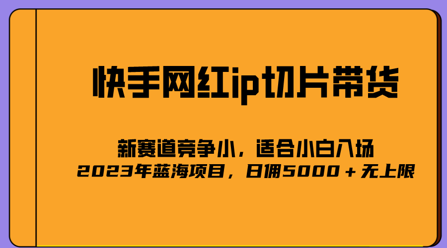 2023爆火的快手网红IP切片，号称日佣5000＋的蓝海项目，二驴的独家授权-鑫诺空间个人笔记本