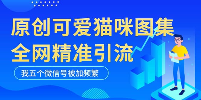 黑科技纯原创可爱猫咪图片，全网精准引流，实操5个VX号被加频繁-鑫诺空间个人笔记本