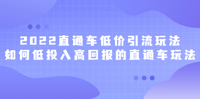 2022直通车低价引流玩法，教大家如何低投入高回报的直通车玩法-鑫诺空间个人笔记本