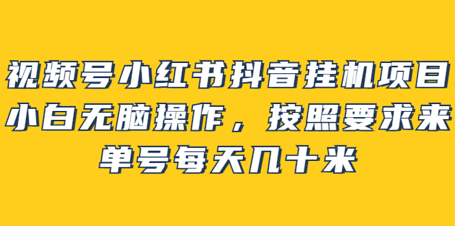 视频号小红书抖音挂机项目，小白无脑操作，按照要求来，单号每天几十米-鑫诺空间个人笔记本