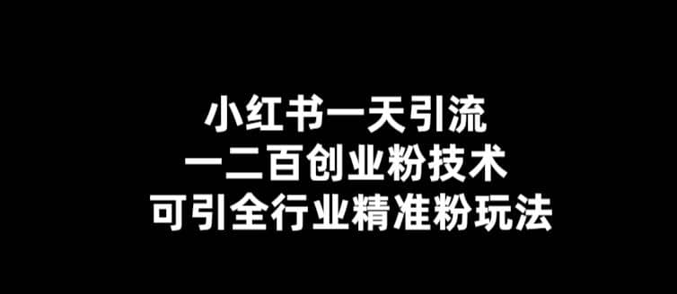 【引流必备】小红书一天引流一二百创业粉技术，可引全行业精准粉玩法-鑫诺空间个人笔记本