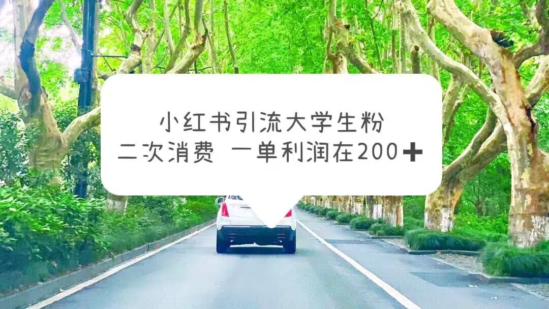 小红书引流大学生粉，变现项目，一单利润在200 （教程 资源）-鑫诺空间个人笔记本