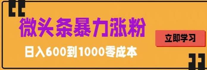 微头条暴力涨粉技巧搬运文案就能涨几万粉丝，简单0成本，日赚600-鑫诺空间个人笔记本