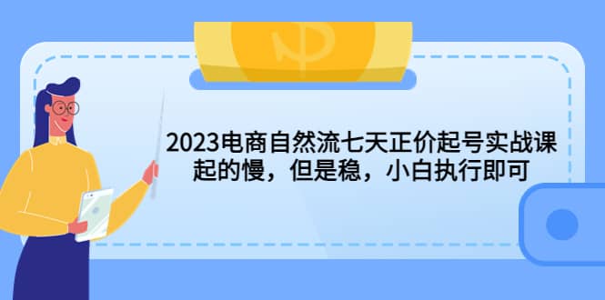 2023电商自然流七天正价起号实战课：起的慢，但是稳，小白执行即可-鑫诺空间个人笔记本