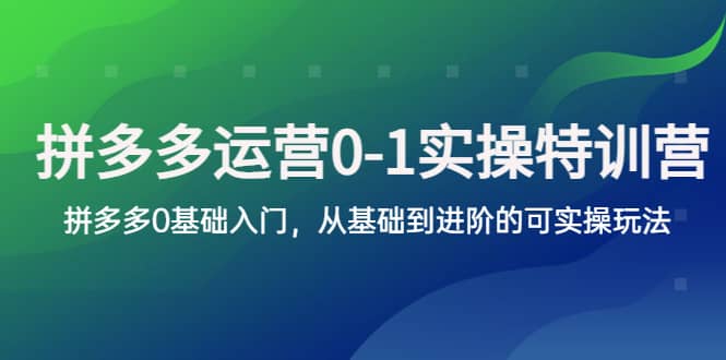 拼多多-运营0-1实操训练营，拼多多0基础入门，从基础到进阶的可实操玩法-鑫诺空间个人笔记本