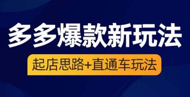 2023拼多多爆款·新玩法：起店思路 直通车玩法（3节精华课）-鑫诺空间个人笔记本