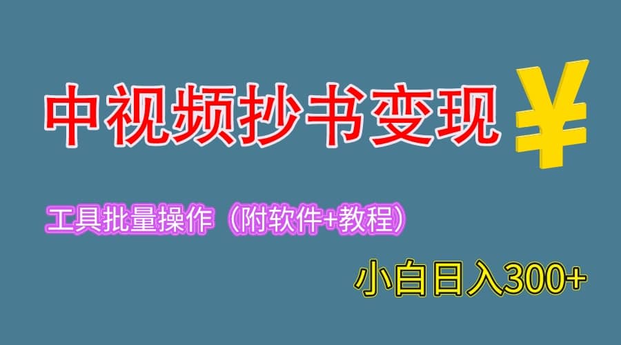 2023中视频抄书变现（附工具 教程），一天300 ，特别适合新手操作的副业-鑫诺空间个人笔记本