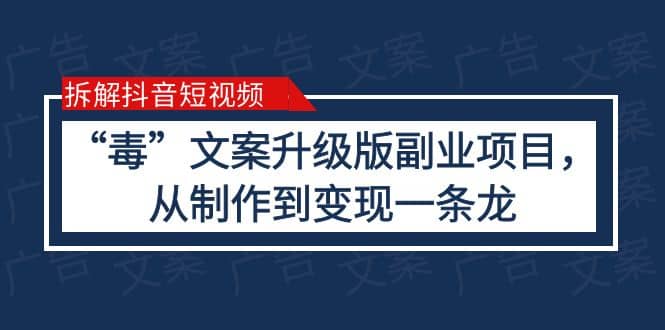 拆解抖音短视频：“毒”文案升级版副业项目，从制作到变现（教程 素材）-鑫诺空间个人笔记本